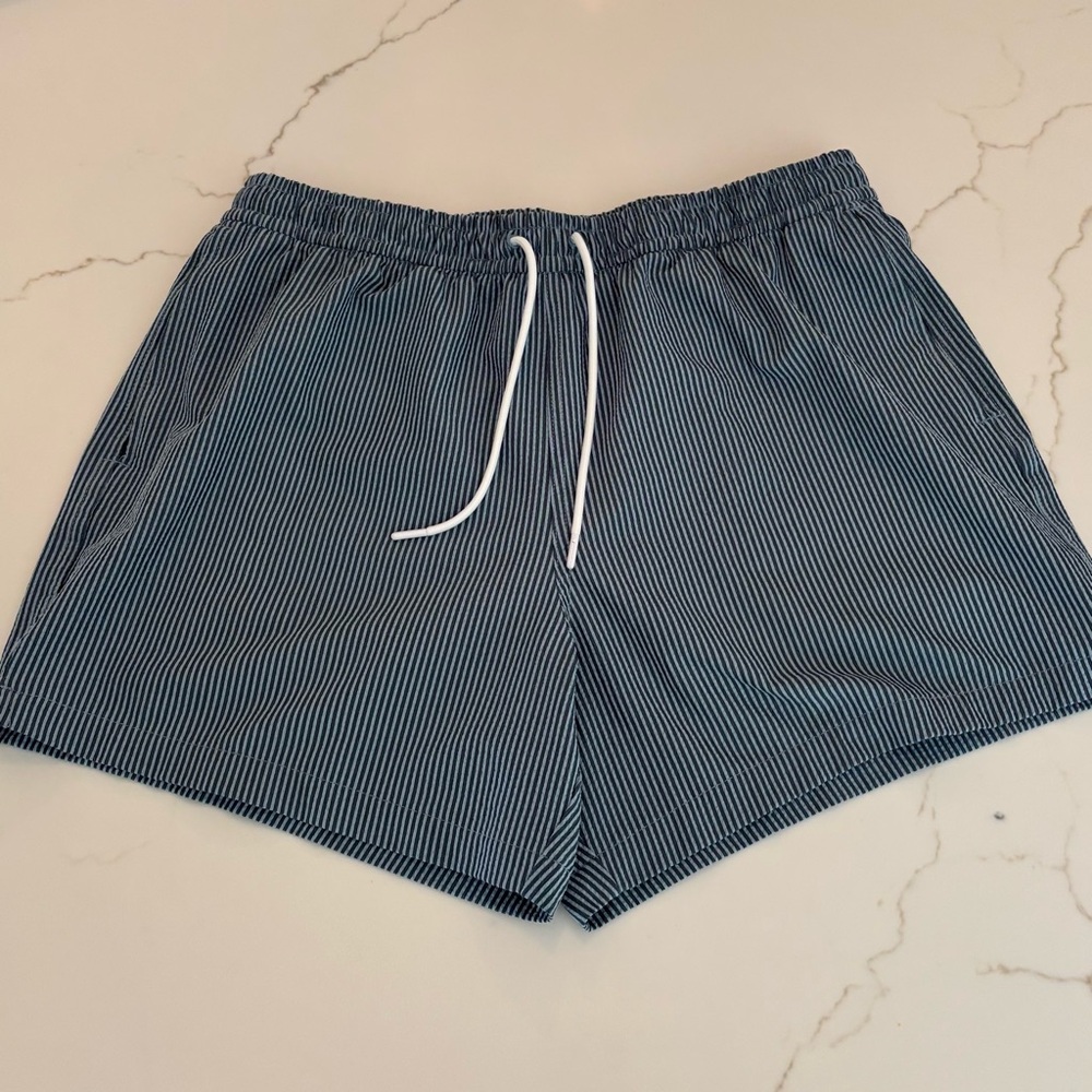 Abercrombie & Fitch Blue and White Striped Swimsuit Swim Shorts